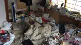 ゴミ屋敷清掃