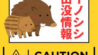 イノシシにご注意ください | セレモしんこう｜茨城県猿島郡でのご葬儀