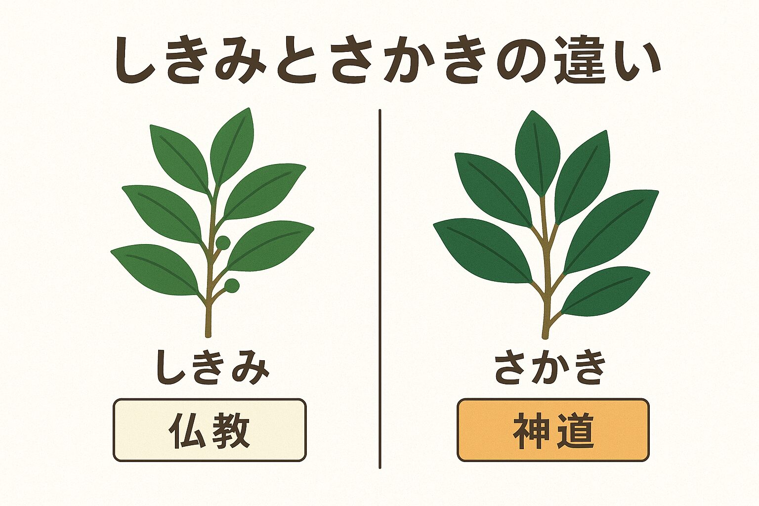 しきみとさかきの違いとは?仏事と神事で使い分ける意味 | 境町・古河市・五霞町・坂東市の葬儀社|事前相談無料・365日24時間|セレモしんこう